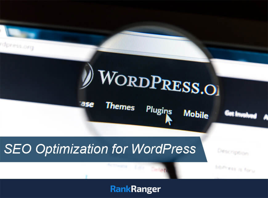 seo optimization for wordpress